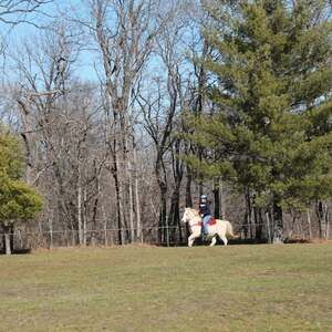 Meet your Posher, Bethany